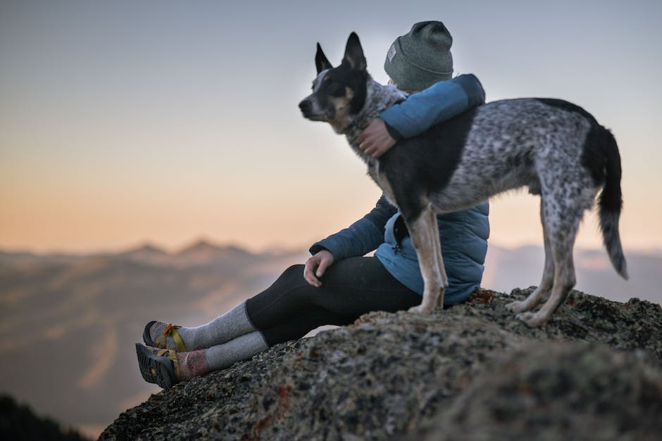  Warum schlüpft mein Hund immer zwischen meine Beine?