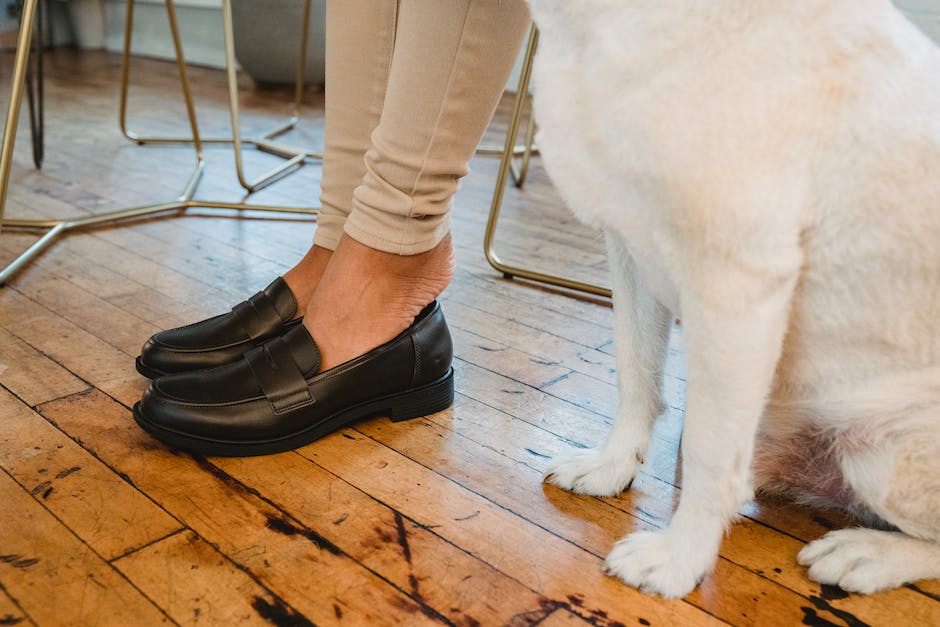 Hunde zwischen den Beinen entspannen sich