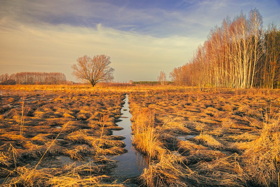 Behandlung von Wasseransammlungen in den Beinen