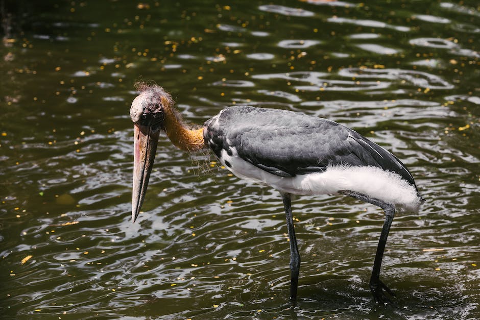 Behandlung von Wasser im Bein