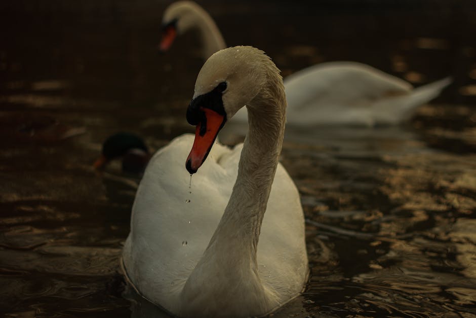 Wasser aus den Beinen abpumpen