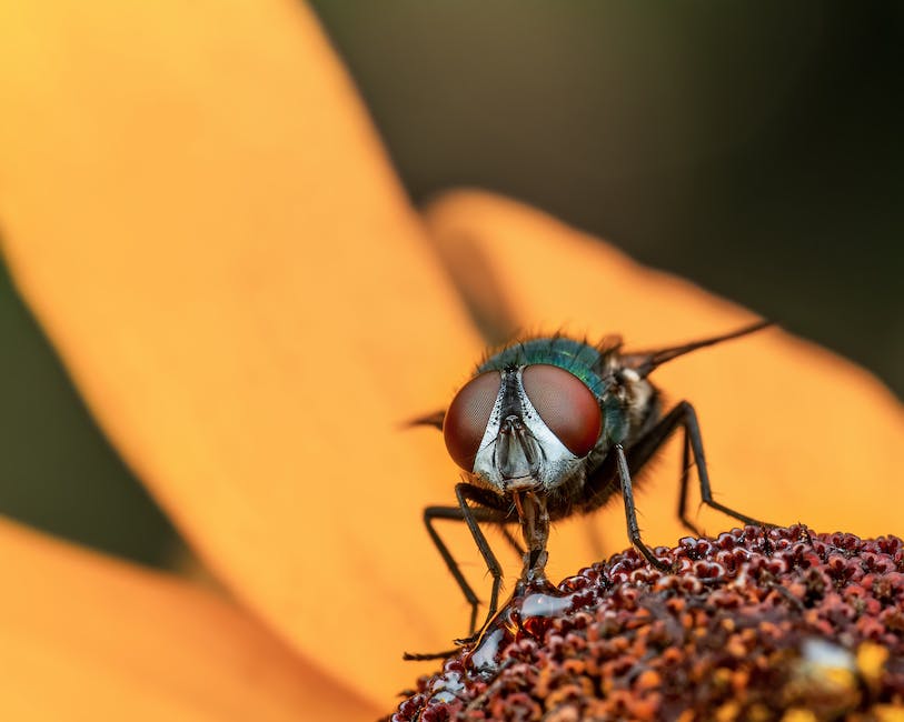  Wasserbeine: Wie man Wasser in die Beine bekommt